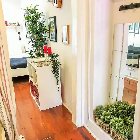 Daire Fado! Cozy Flat Next To Flowers Garden Lisboa