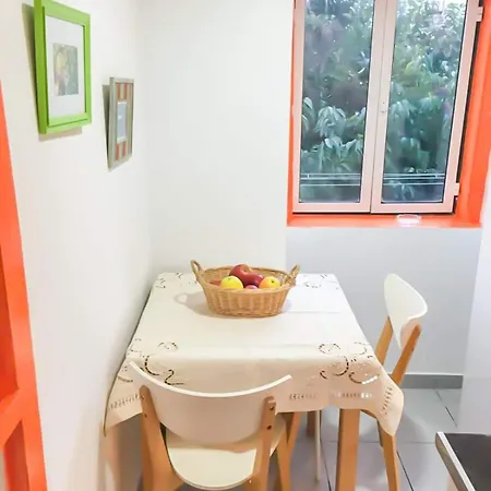 Fado! Cozy Flat Next To Flowers Garden Apartmán